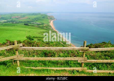 Vista dal Golden Cap guardando ad Est verso Seatown lungo la Jurassic Coast nel Dorset. L'isola di Portland in lontananza. Foto Stock