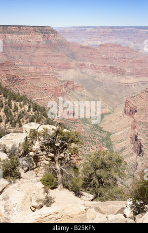Grandview Point a bordo Sud del Grand Canyon in Arizona USA Foto Stock