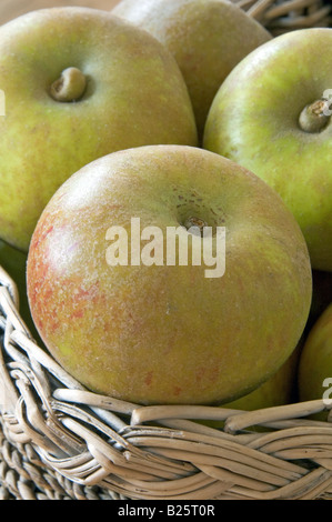 Kernel Ashmeads Malus domestica mele del patrimonio in un vecchio cesto di vimini Foto Stock