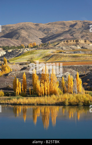 Il lago di Dunstan ed i colori autunnali Bannockburn Central Otago Isola del Sud della Nuova Zelanda Foto Stock