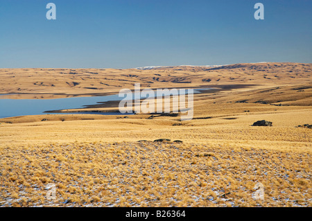 Lammermoor gamma Logan e masterizzare il serbatoio grande palude Moss vecchio sentiero Dunstan Central Otago Isola del Sud della Nuova Zelanda Foto Stock