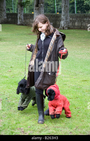 I cani di cappotti, andando a Dog Show, Echt, Scotland Regno Unito Foto Stock