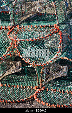 Lobster Pot su Ullapool Harbour quay Foto Stock