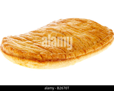 Pollo appena sfornato e funghi fetta o torta senza persone, isolato su bianco Foto Stock