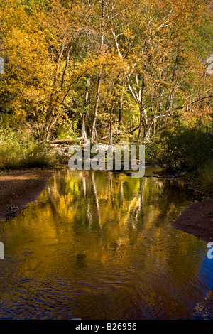 Stati Uniti d'America Arizona Sedona Oak Creek Canyon Foto Stock