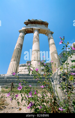 Tholos presso il santuario di Atena Pronaia, Delphi, Grecia Foto Stock