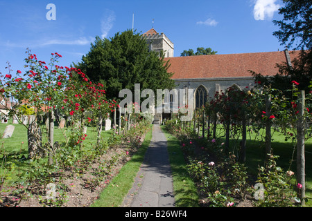 Una rosa rivestita percorso attraverso il sagrato della Abbazia di Dorchester s chiesa di San Pietro e di San Paolo Dorchester Oxfordshire Foto Stock