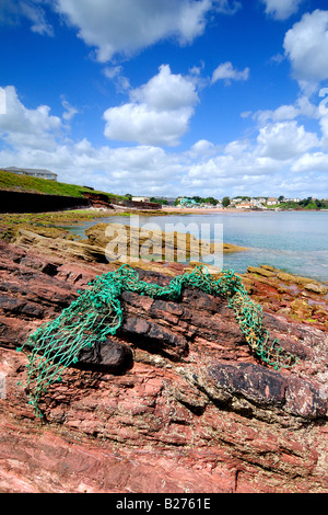 La costa rocciosa a Goodrington sud vicino a Paignton in Devon guardando a Nord su un giorno di estate con una vecchia rete da pesca Foto Stock