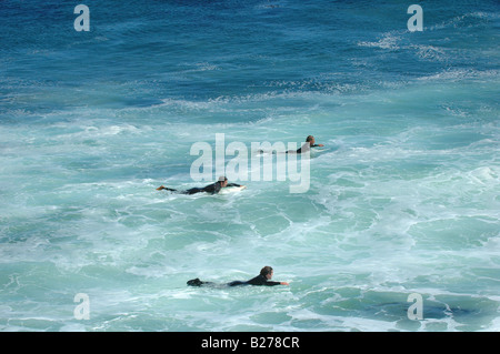 Tre ragazzi in attesa di un onda nel bellissimo Oceano Pacifico in santa cruz california piroscafi lane usa su un tipico giorno di estate Foto Stock