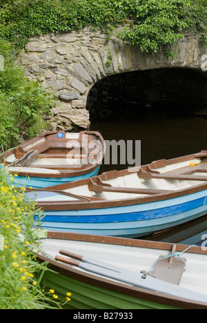 Barche ormeggiate vicino al Lago di Killarney, nella contea di Kerry, Irlanda. Foto Stock