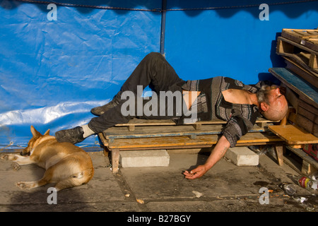 Un senzatetto si addormenta su un letto improvvisato di pallet di legno in un ambiente urbano con un cane fedele al suo fianco, sotto la copertura protettiva Foto Stock