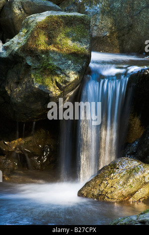 Cascata sul flusso lungo Redwood Sentiero Natura Rogue River-Siskiyou Foresta Nazionale di Oregon Foto Stock