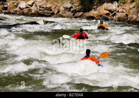 Tre kayakers affrontare furiosa acqua bianca Foto Stock