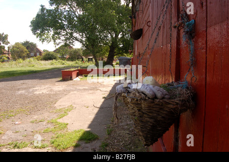 Un agriturismo a Fryent Country Park. Colindale, Londra, Inghilterra Foto Stock