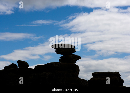 Brimham rocce vicino ponte Pateley North Yorkshire England Regno Unito Foto Stock