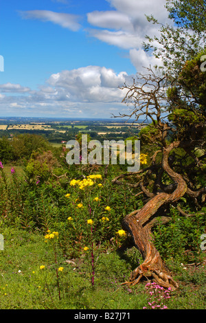Vista su Oxfordshire dalle Chiltern Hills Watlington sopra su un giorno d'estate Foto Stock