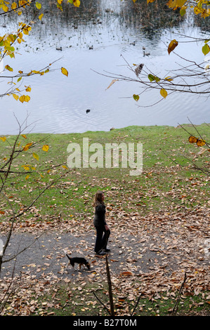 Le donne cane a camminare nel parco Foto Stock