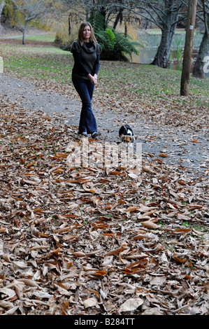 Le donne cane a camminare nel parco Foto Stock