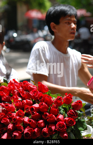 Venditore ambulante vendendo le rose in Hanoi Vietnam Foto Stock