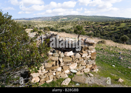 Una rovina capanna di pastori nella foresta Pegeia, a ovest di Ineia, Cipro Foto Stock