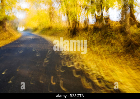 Ampio angolo di vista dalla prospettiva del ciclista sul paese rurale strada in autunno in Chester County Pennsylvania Foto Stock