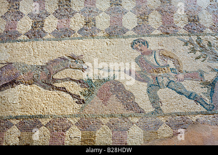 Il mosaico in casa di Dionysos, Pafos mosaici, Nea Paphos, Cipro Foto Stock