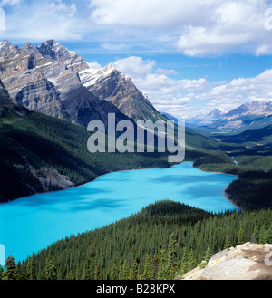 Colore Acquamarina di al Lago Peyto alimentato dal ghiacciaio il Parco Nazionale di Banff, Alberta, Canada Foto Stock