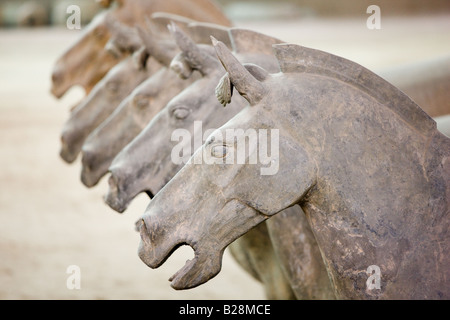 I cavalli di terracotta a fianco di guerrieri a Qin Museo sale espositive dell Esercito di Terracotta Xian Cina Foto Stock