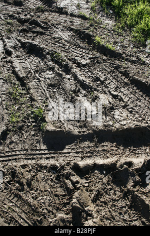 Pneumatico auto piste che attraversano il fango in campo nel paese Foto Stock