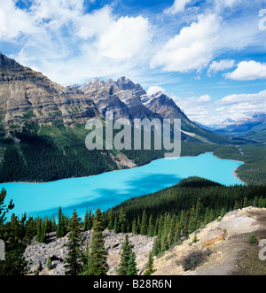 Colore Acquamarina di al Lago Peyto alimentato dal ghiacciaio il Parco Nazionale di Banff, Alberta, Canada Foto Stock