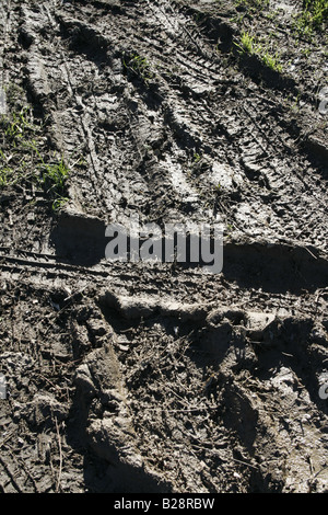 Pneumatico auto piste che attraversano il fango in campo nel paese Foto Stock