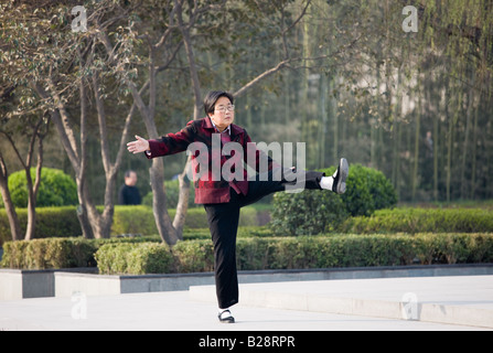 Le pratiche di donna Tai chi come parte del suo esercizio mattutino nel parco dalla parete della città di Xian Cina Foto Stock