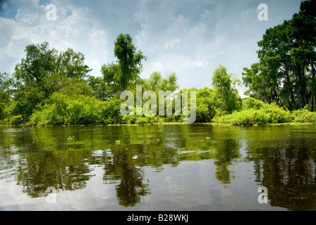 Bacino Atchafalaya vicino a McGee's Landing, Henderson, Louisiana Foto Stock