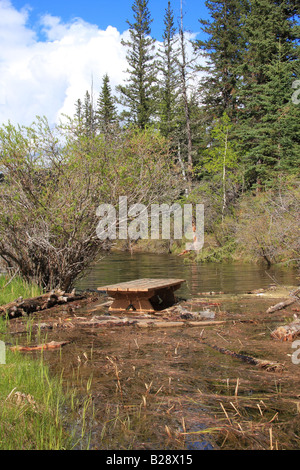 Inondati area di sosta nel paese di Kananaskis, Alberta Foto Stock