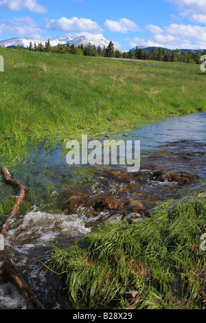 Prati inondati di Kananaskis country, Alberta Foto Stock