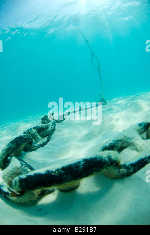 Una catena di ancoraggio e subacquea boa in Bermuda Foto Stock