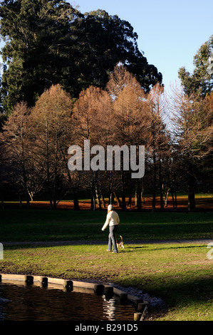 Le donne cane a camminare intorno al lago in autume Foto Stock