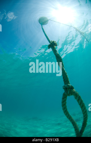 Una boa di ancoraggio sott'acqua in Bermuda Foto Stock