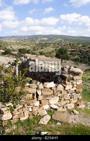 Una rovina capanna di pastori nella foresta Pegeia, a ovest di Ineia, Cipro Foto Stock