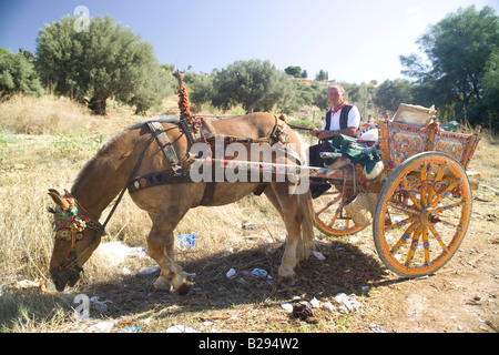 Decorate con il cavallo e carrello Agrigento Sicilia Foto Stock