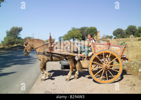 Decorate con il cavallo e carrello Agrigento Sicilia Foto Stock