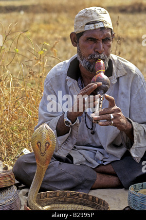 Il serpente incantatore stato di Goa India Data 15 06 2008 Ref ZB548 115573 0155 credito obbligatoria World Pictures Photoshot Foto Stock