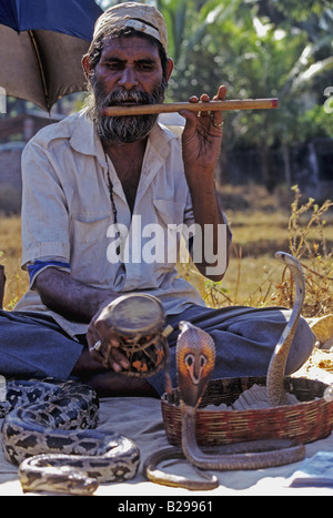 Il serpente incantatore stato di Goa India Data 15 06 2008 Ref ZB548 115573 0157 credito obbligatoria World Pictures Photoshot Foto Stock