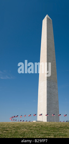 La luce solare colpisce la parete est del Monumento di Washington al mattino presto Foto Stock