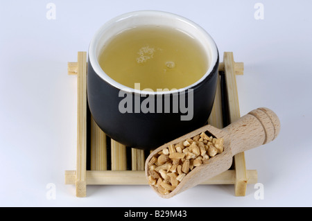 Heterophylly Falsestarwort tea / Tai Zi Shen Foto Stock