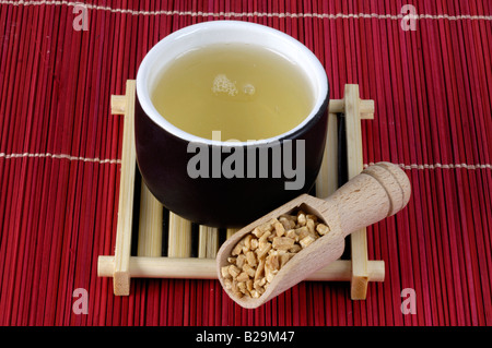 Heterophylly Falsestarwort tea / Tai Zi Shen Foto Stock