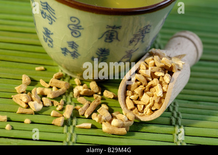 Heterophylly Falsestarwort tea / Tai Zi Shen Foto Stock