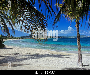 Da Buccaneer Beach St Croix Isole Vergini Americane Caraibi Foto Stock