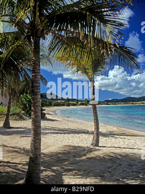 Da Buccaneer Beach St Croix Isole Vergini Americane Caraibi Foto Stock
