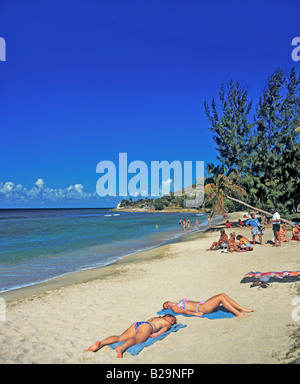 La canna da zucchero Bay Beach St Croix Isole Vergini Americane Caraibi Foto Stock
